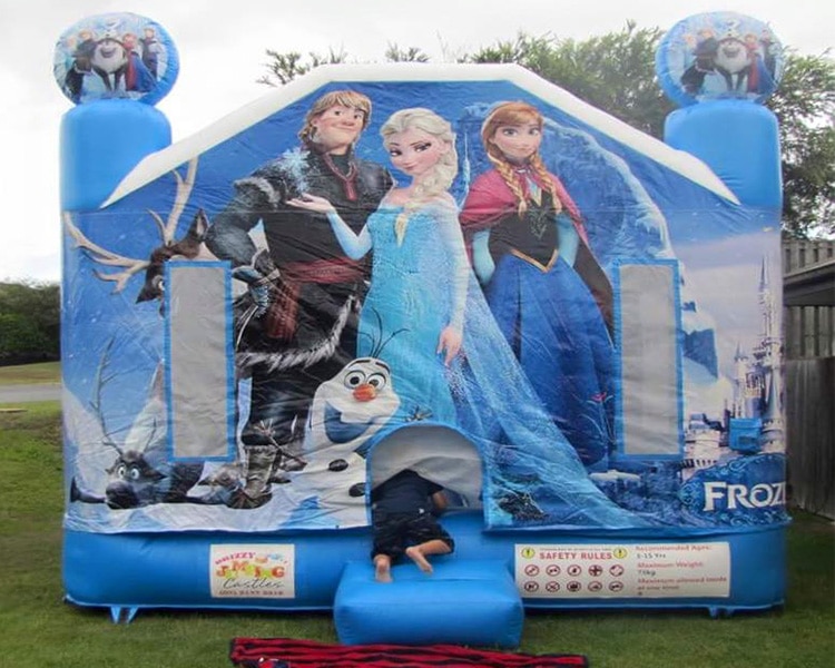 frozen-bouncy-castle-cat.jpg