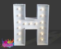 LED Light Up Letter - 120cm - H