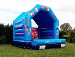Party Jumping Castle Hire