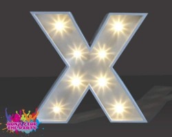 LED Light Up Letter - 60cm - X