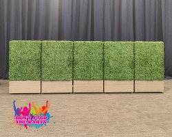 Hire Flower Walls Brisbane